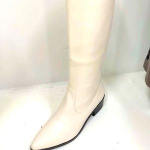 Pointed toe knee high boots